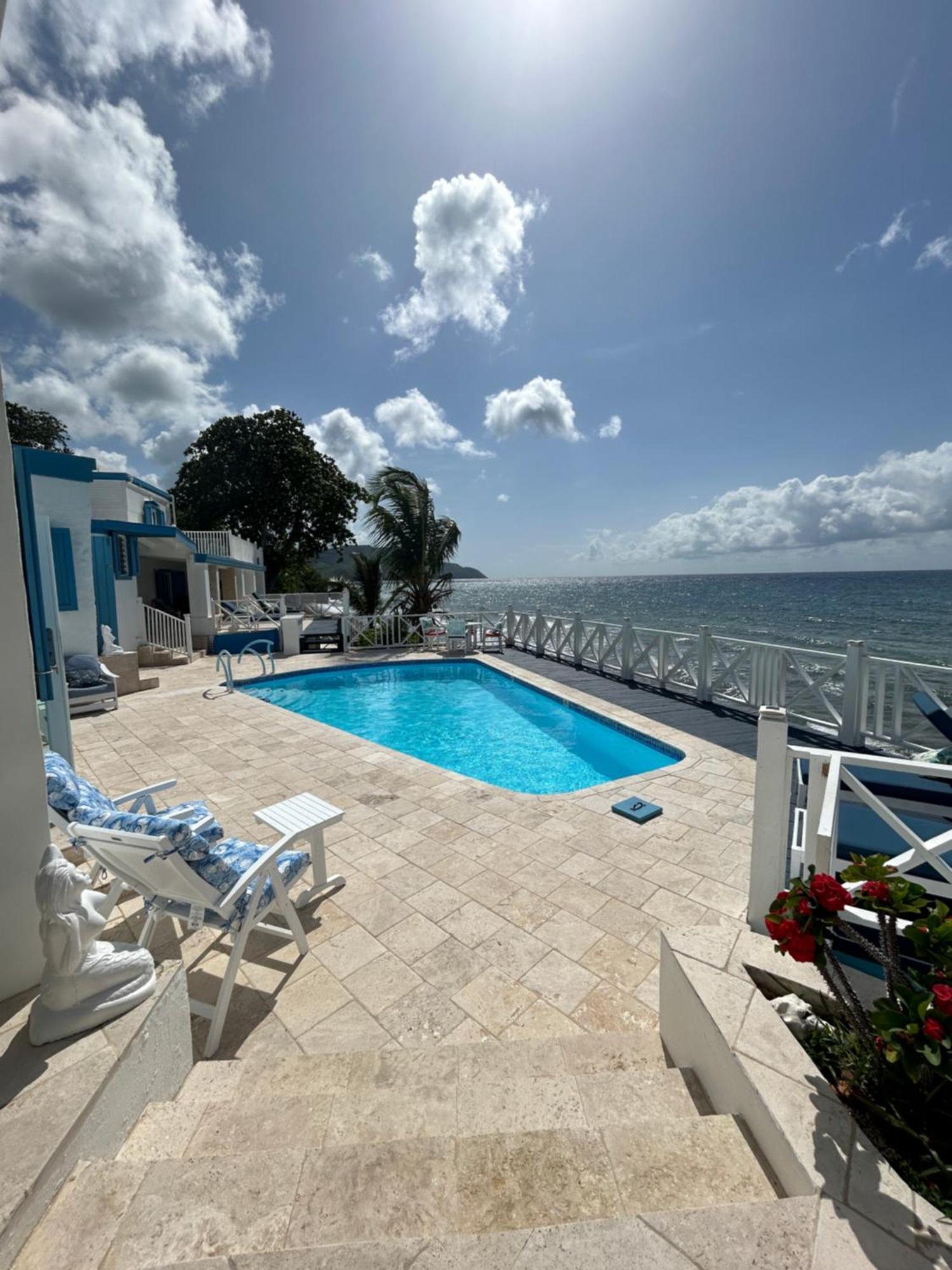 Frederiksted North Star Villa Oceanfront Family-Retreat With Pool מראה חיצוני תמונה