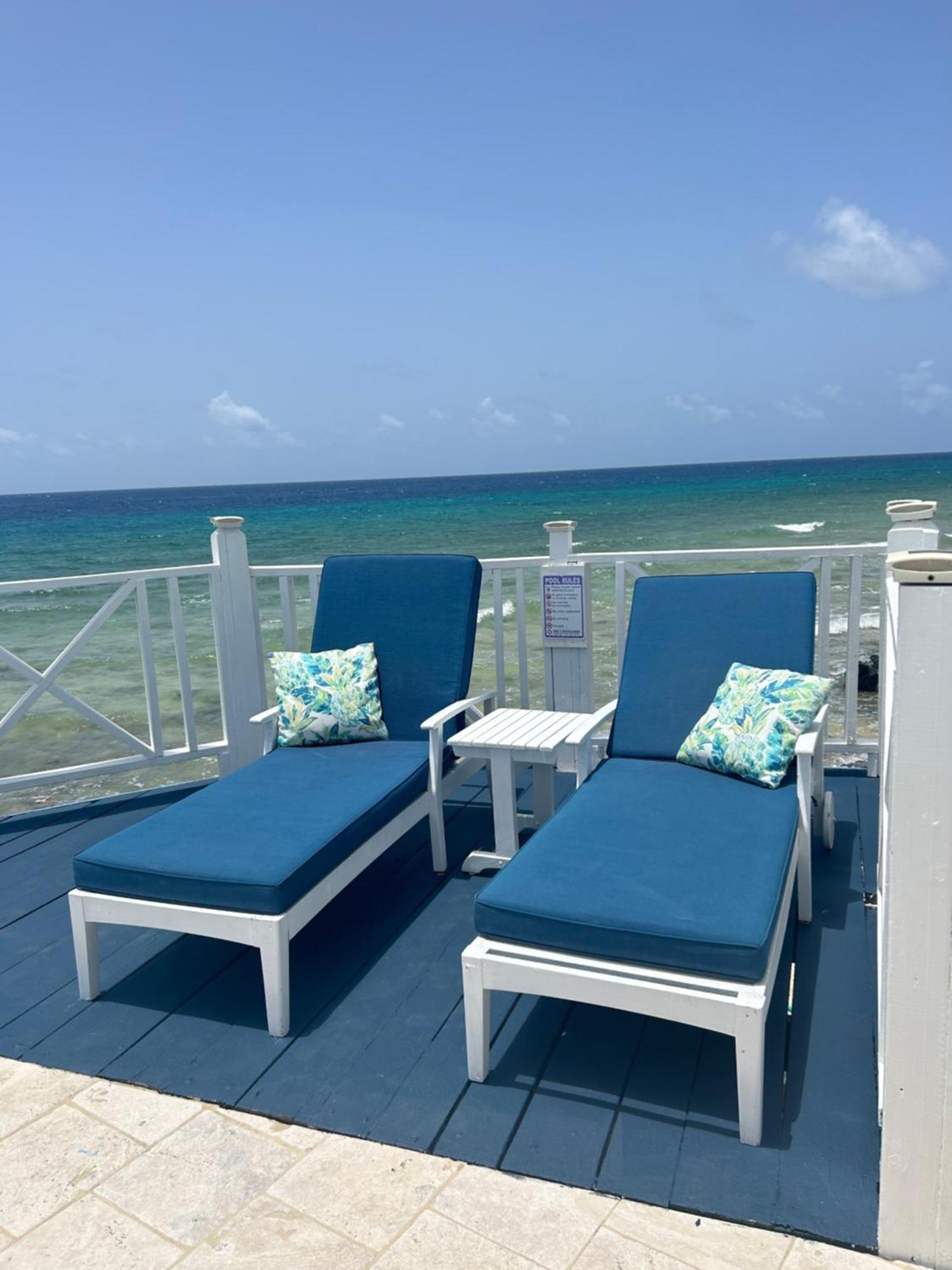 Frederiksted North Star Villa Oceanfront Family-Retreat With Pool מראה חיצוני תמונה